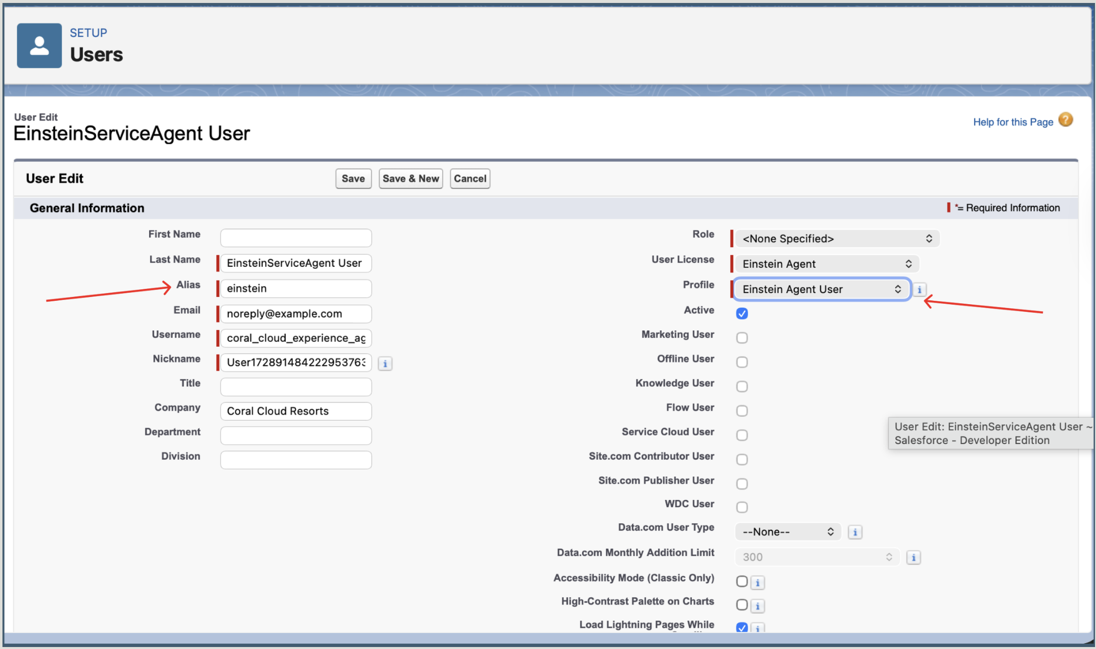 Einstein Service Agent user configuration giving the agent an identity at Coral Cloud Resorts