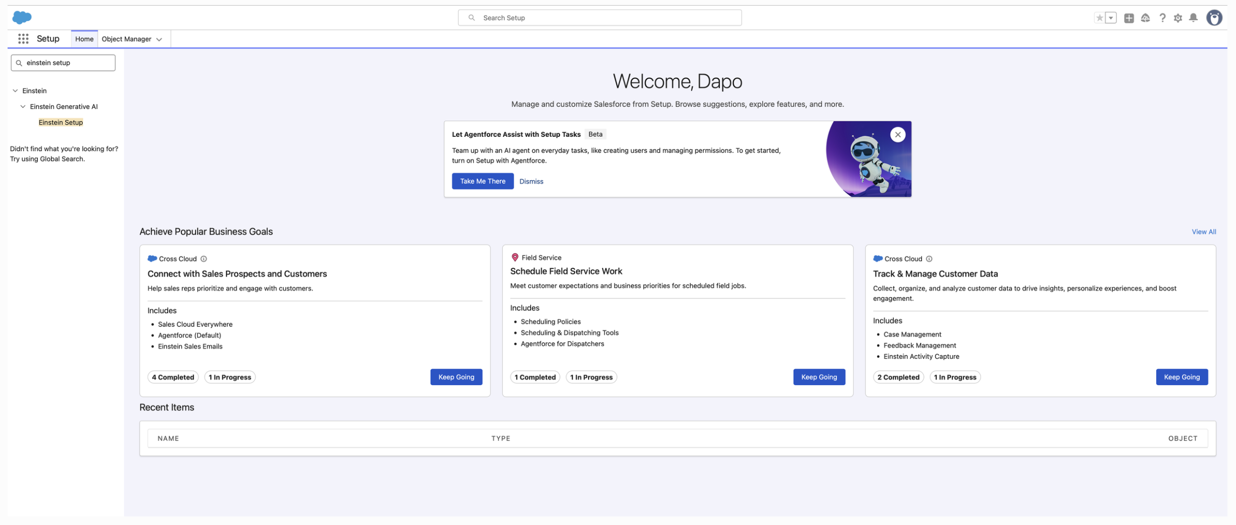 Salesforce Setup home environment