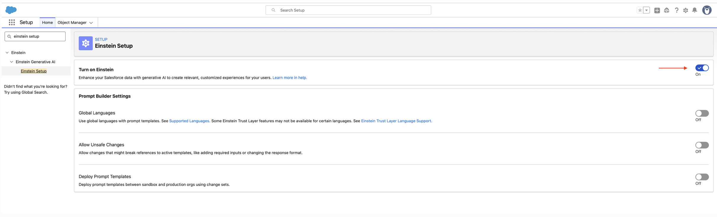 Einstein Setup page with Turn on Einstein toggled on