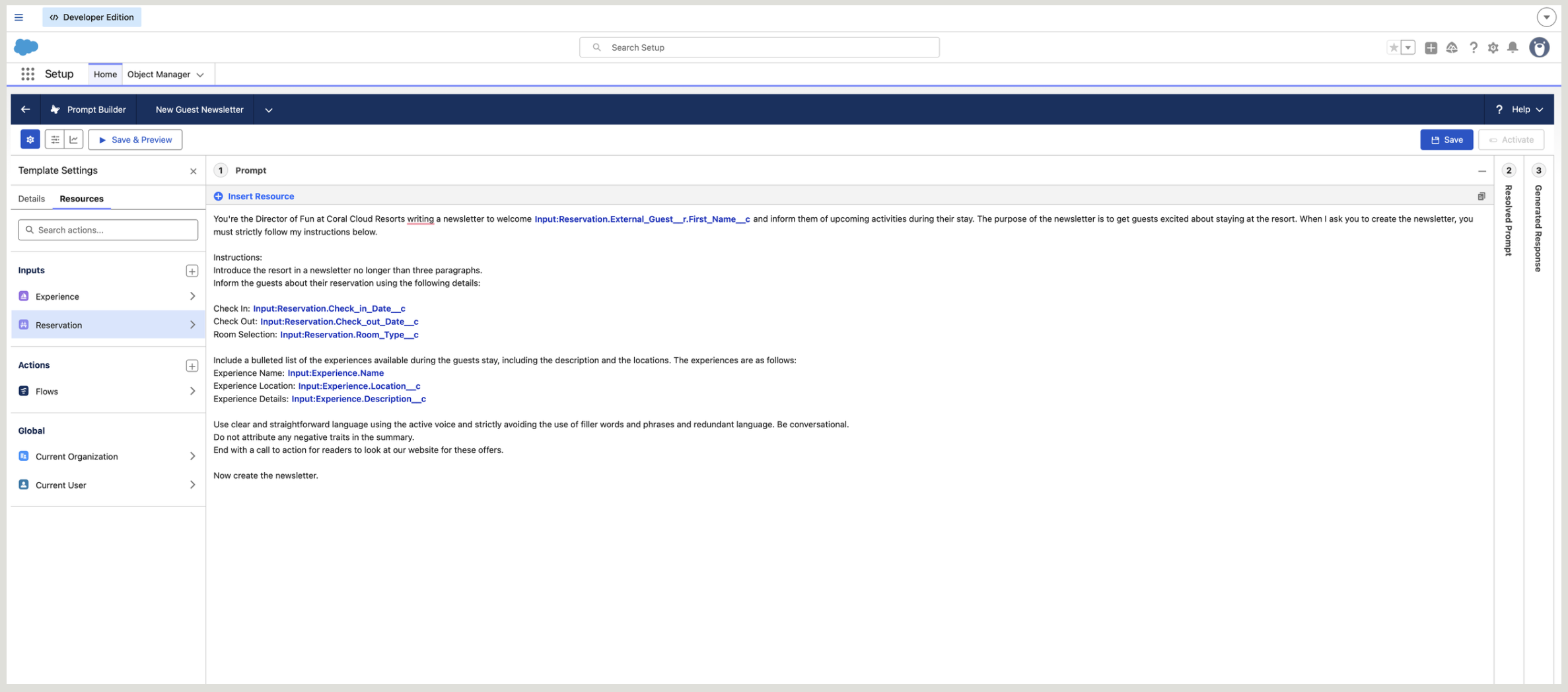 Prompt template written in the Director of Fun persona with grounded reservation and experience fields